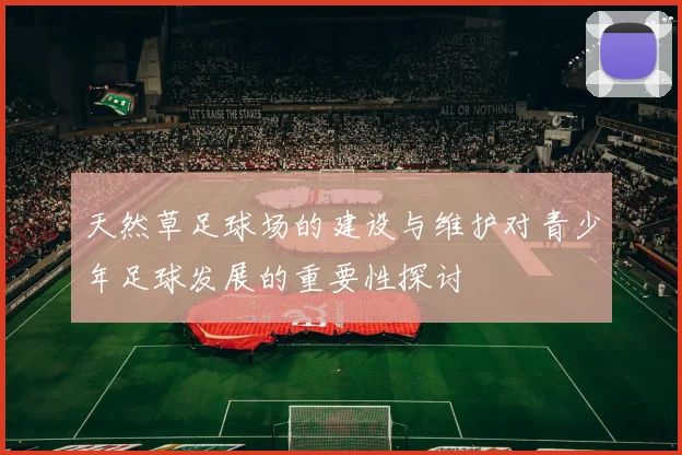 天然草足球场的建设与维护对青少年足球发展的重要性探讨