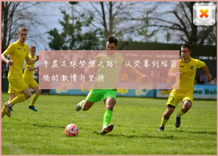 李晨足球梦想之路：从荧幕到绿茵场的激情与坚持