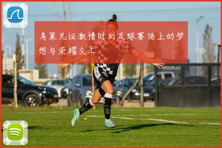 鸟巢见证激情时刻足球赛场上的梦想与荣耀交汇