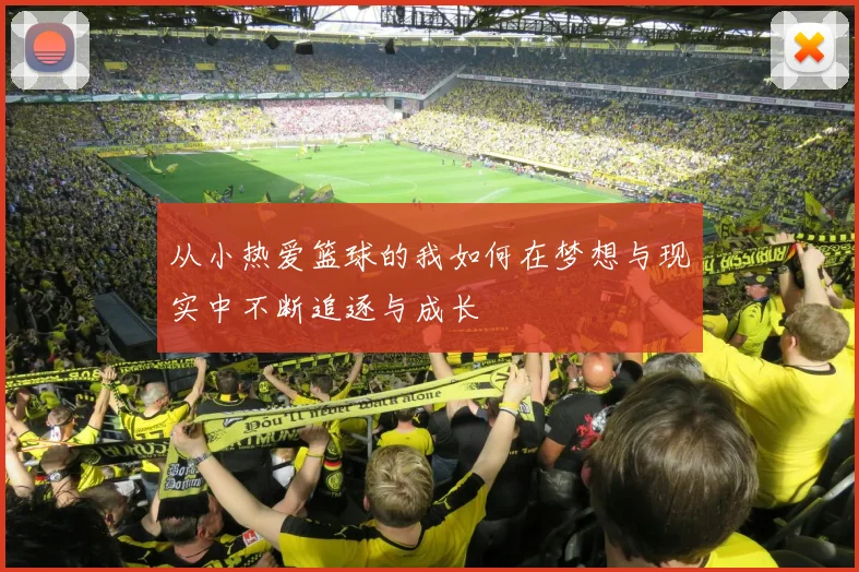从小热爱篮球的我如何在梦想与现实中不断追逐与成长